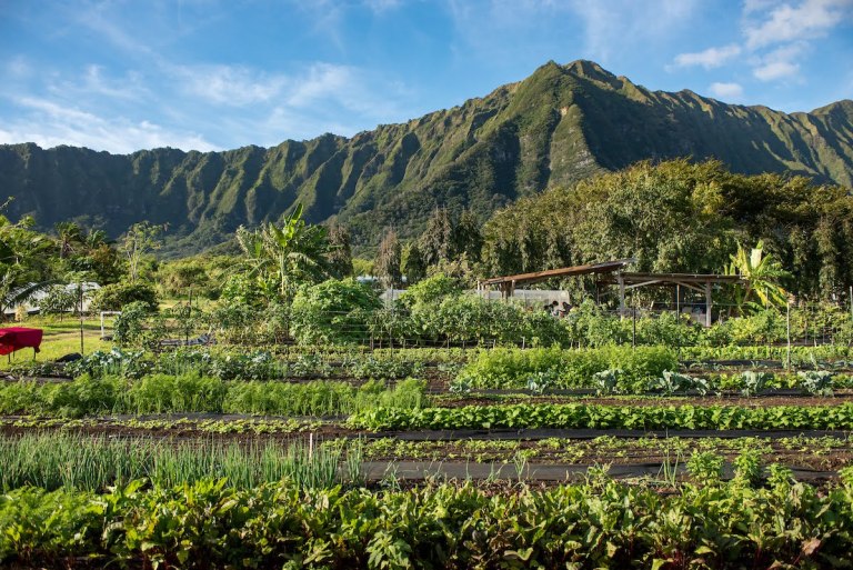 Hawai‘i Agribusiness Guidebook 2018 Edition